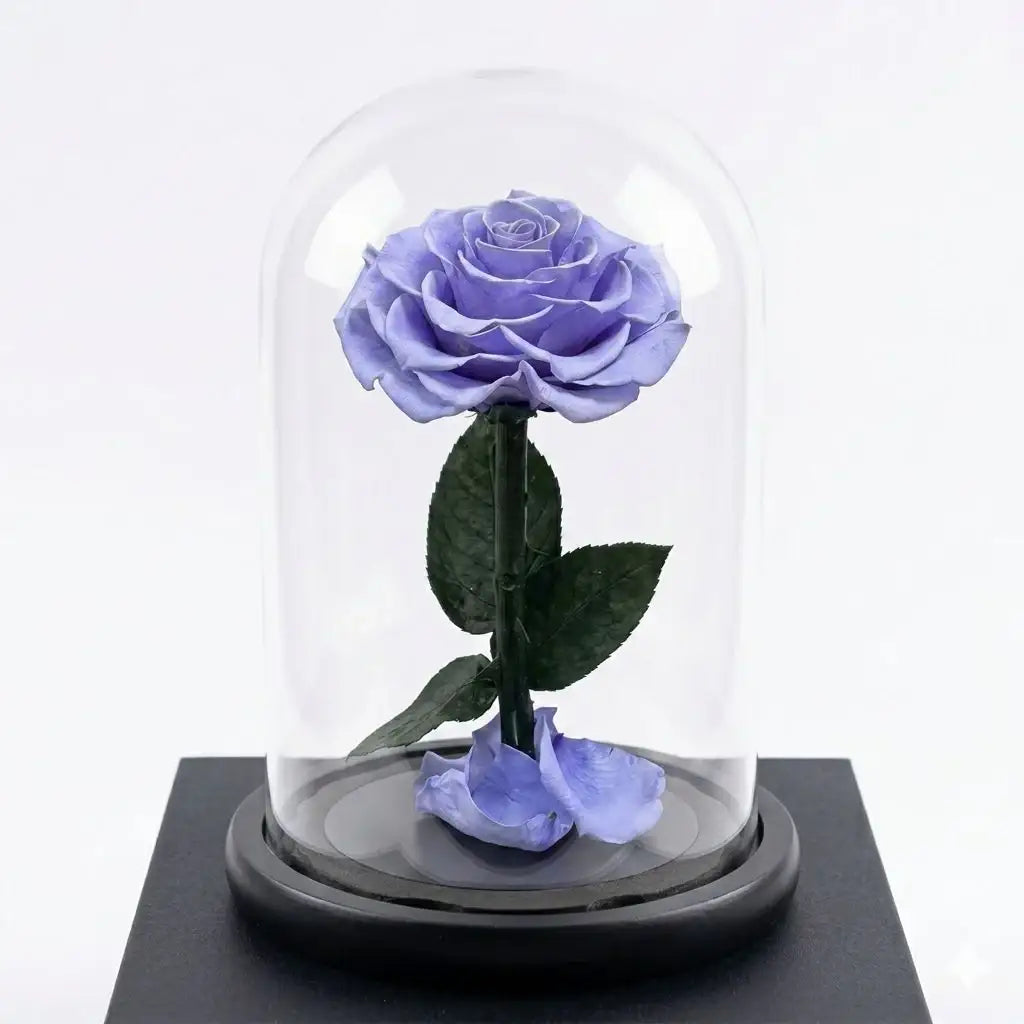 The Little Prince | Classic Preserved Rose Glass Dome Gift Box