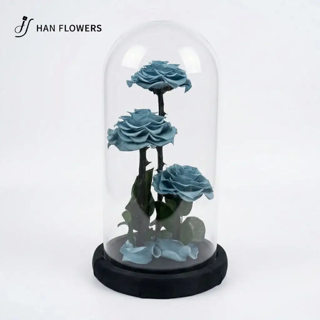 The Grand Prince | Three Preserved Roses Glass Dome Gift Box