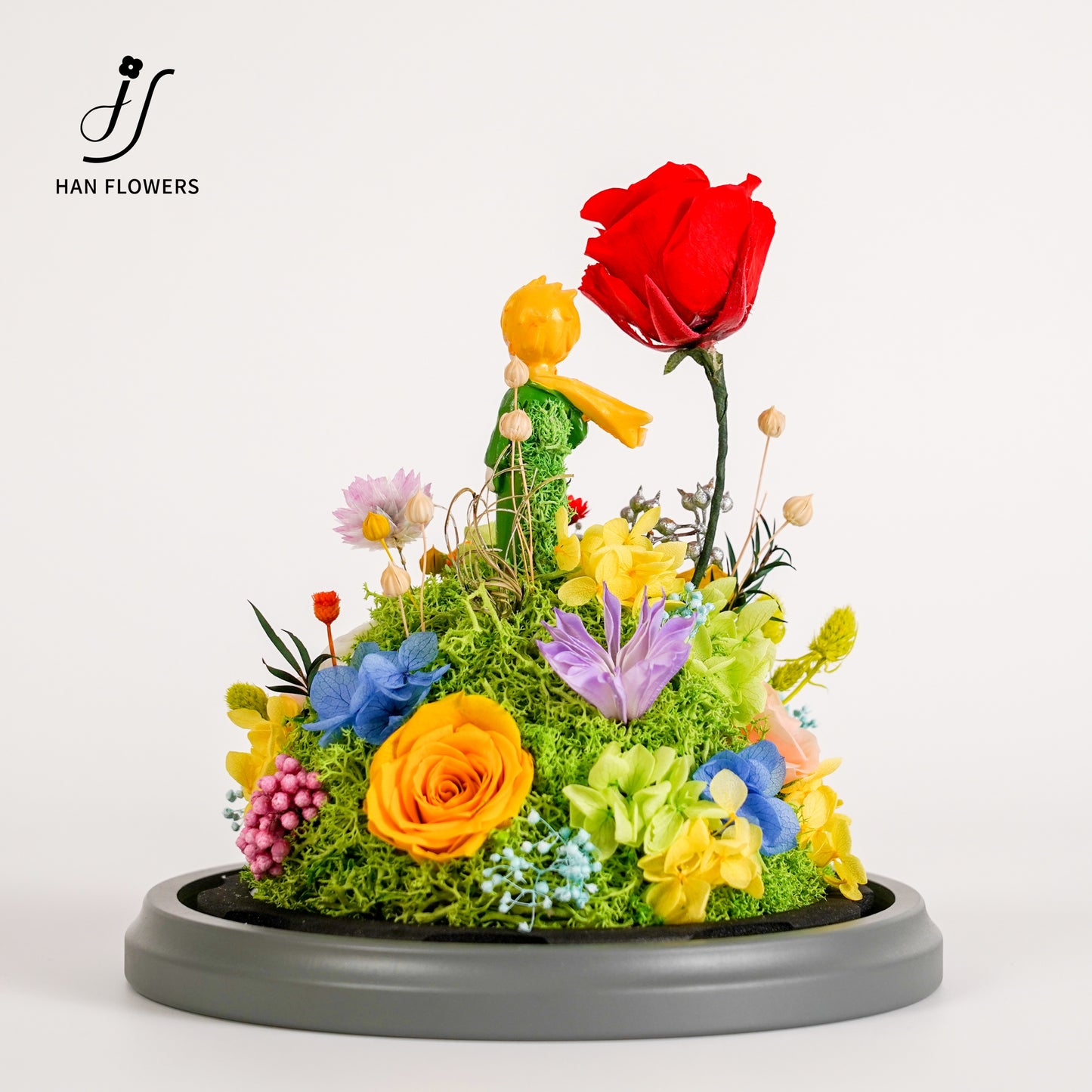永生花 小王子星球