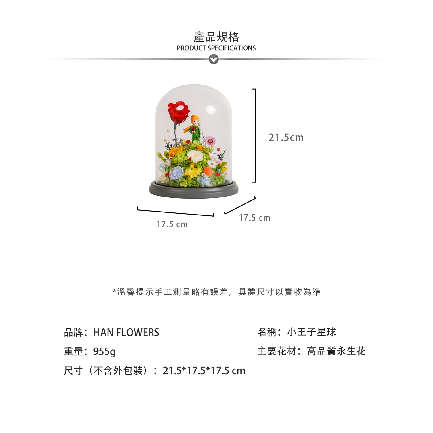 永生花 小王子星球