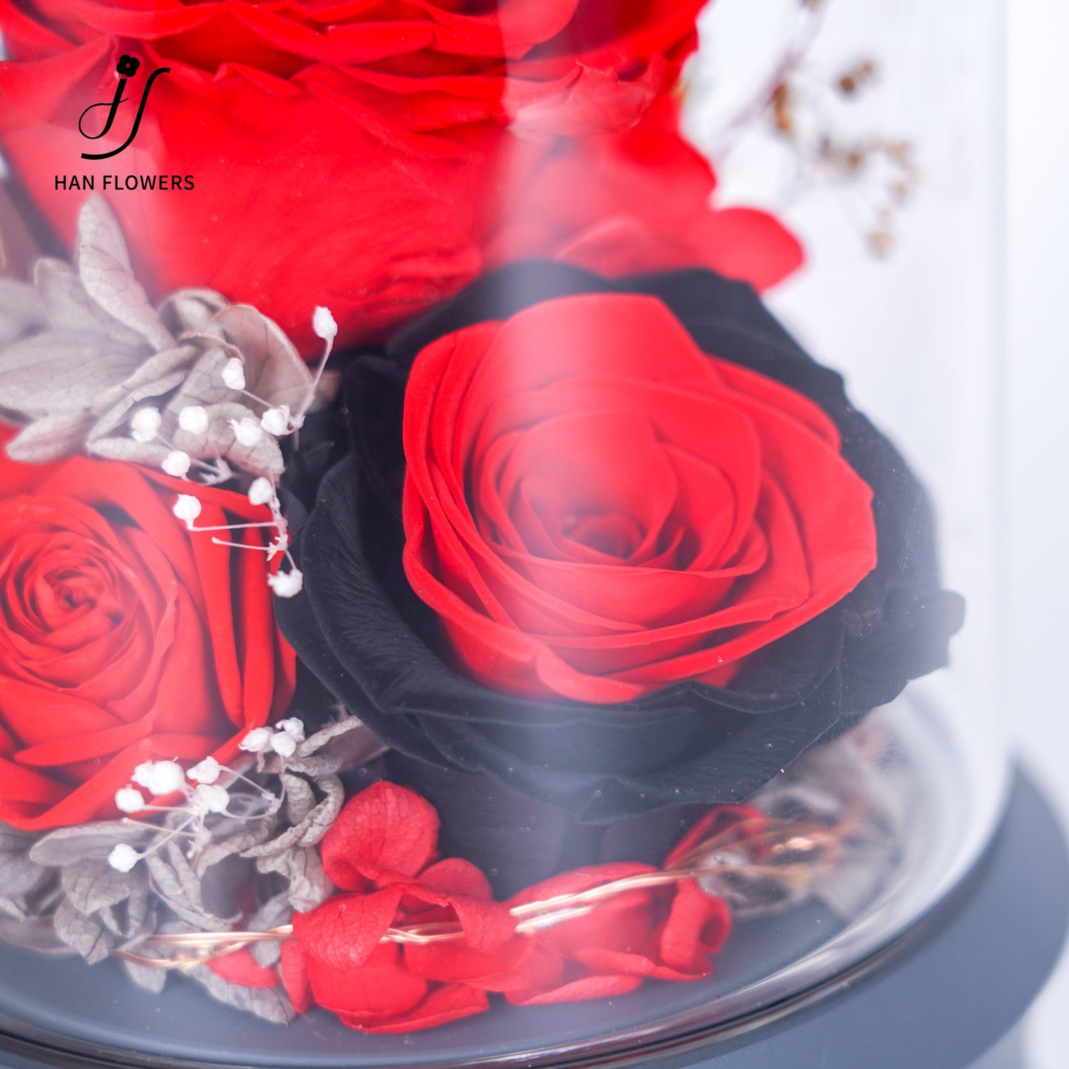 New Arrivals Fresh Picks