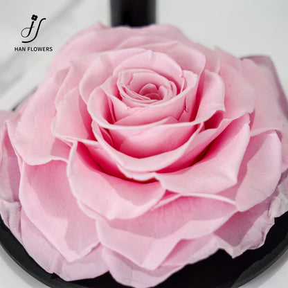 永生花 玫瑰留聲機