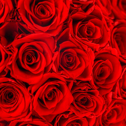 永生花 天使之心