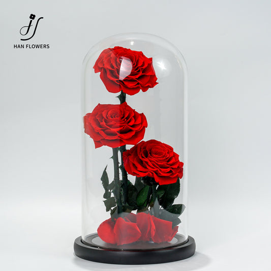 永生花 大王子