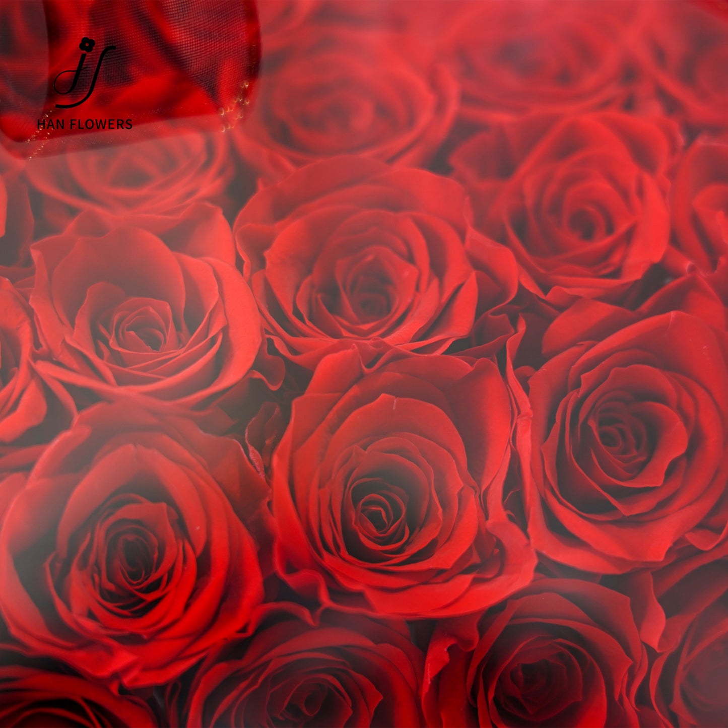 永生花 愛心鏡面花盒