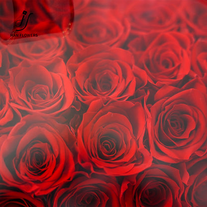 永生花 愛心鏡面花盒