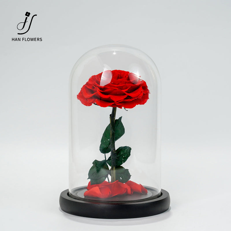 小王子紅玫瑰永生花玻璃罩禮盒 