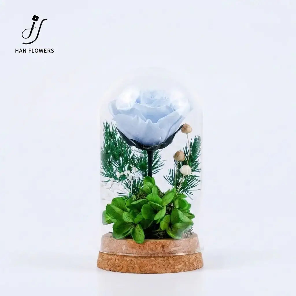 The Only One | The Little Prince Classic Single Preserved Red Rose in a Glass Dome