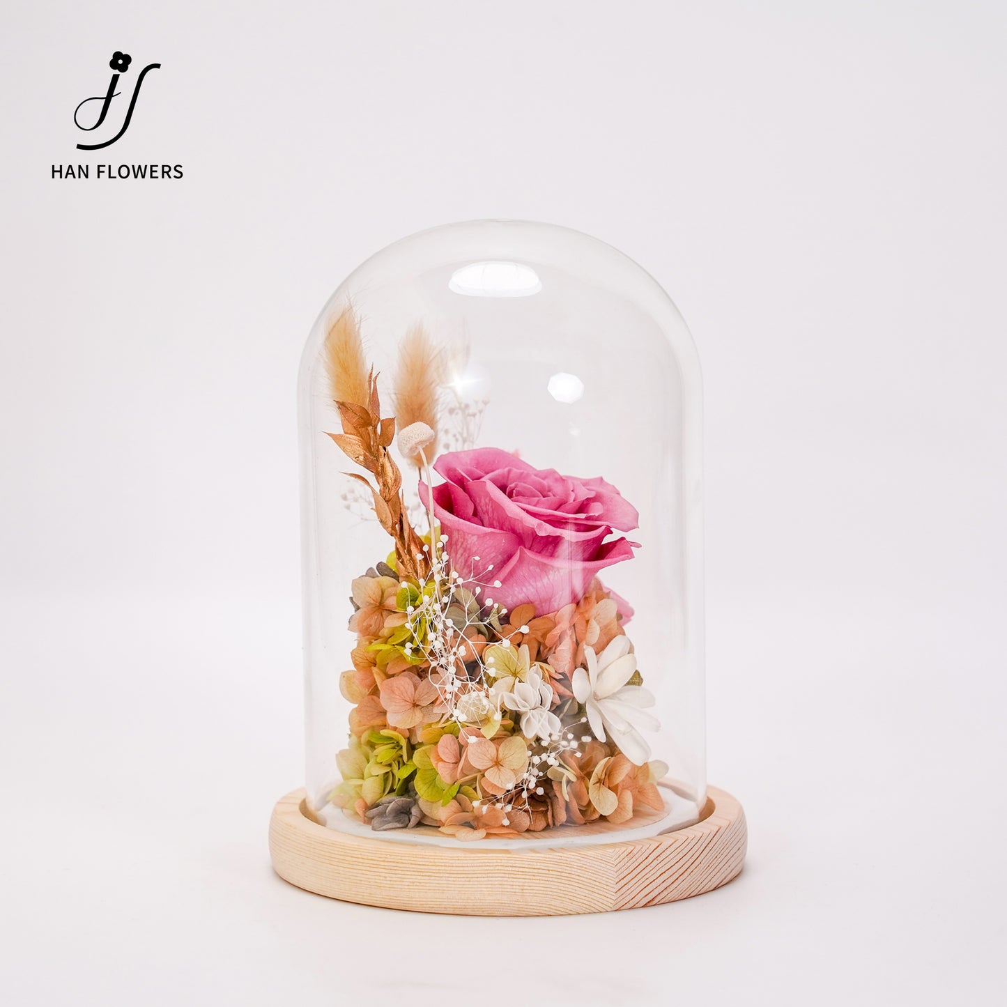 永生花 玫瑰陳列館