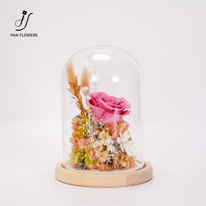 永生花 玫瑰陳列館