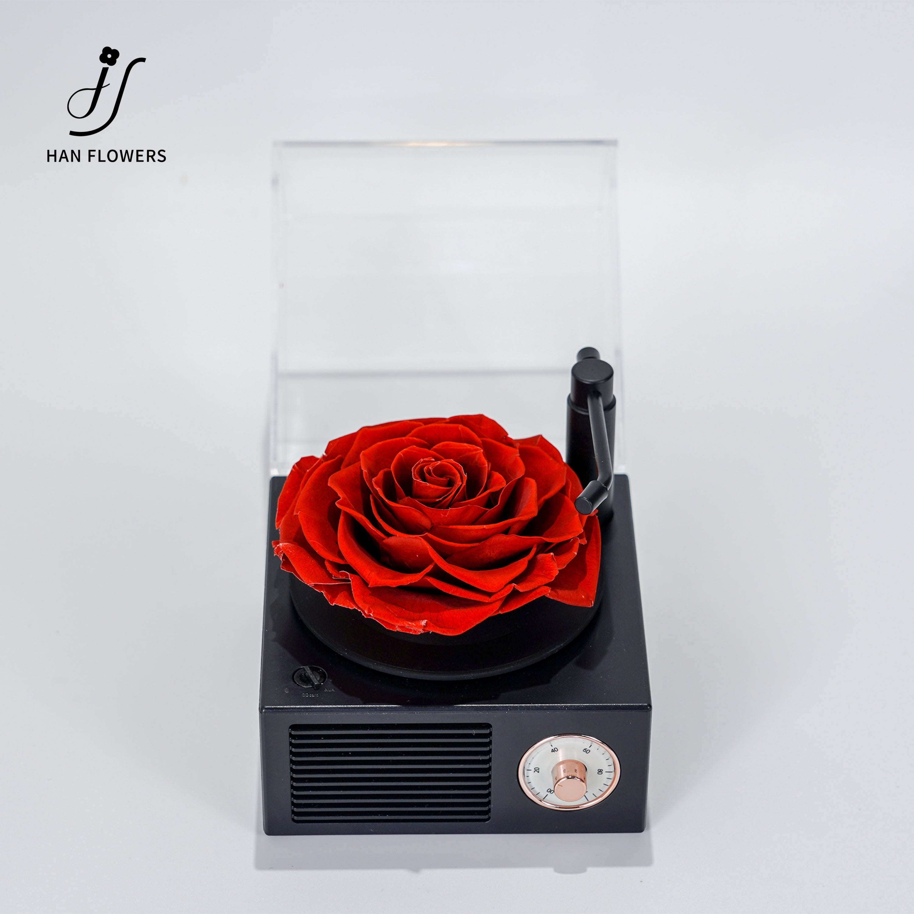 永生花留聲機(Preserved Flower Phonograph) | HAN FLOWERS