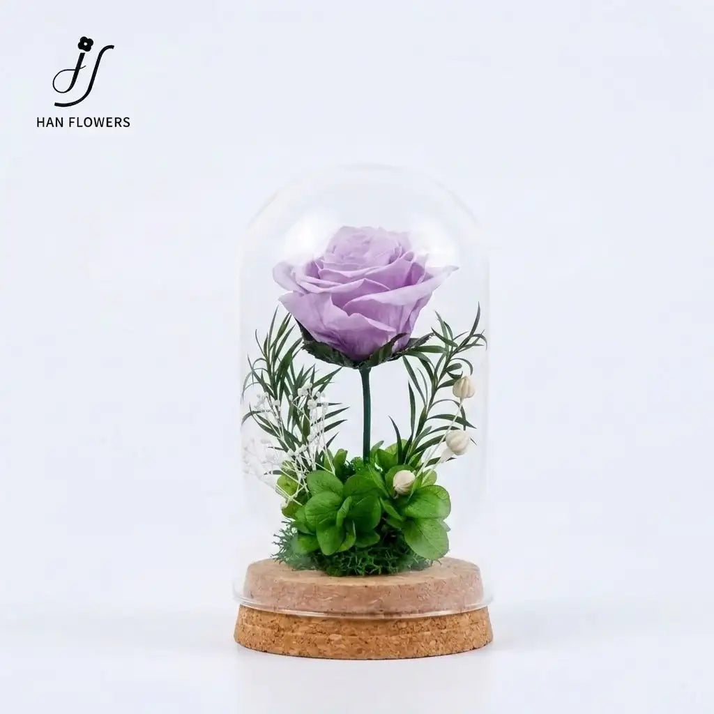The Only One | The Little Prince Classic Single Preserved Red Rose in a Glass Dome