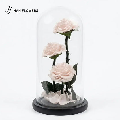 The Grand Prince | Three Preserved Roses Glass Dome Gift Box