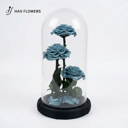The Grand Prince | Three Preserved Roses Glass Dome Gift Box