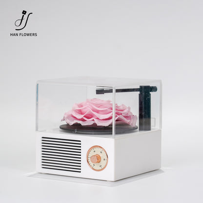 永生花 玫瑰留聲機