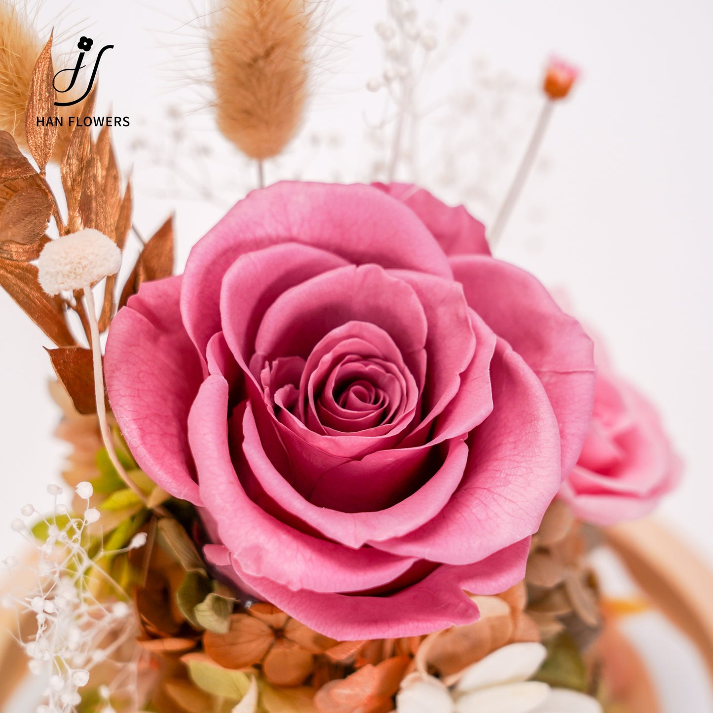 永生花 玫瑰陳列館