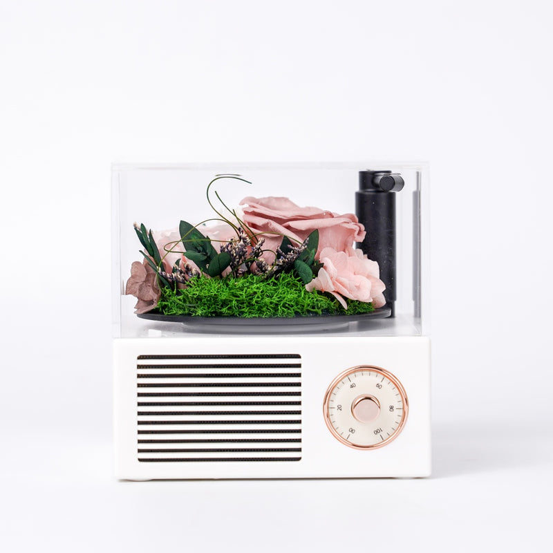 花語留聲 (The Floral Gramophone) 花園留聲機 | 復古留聲機永生花藍牙音箱禮盒