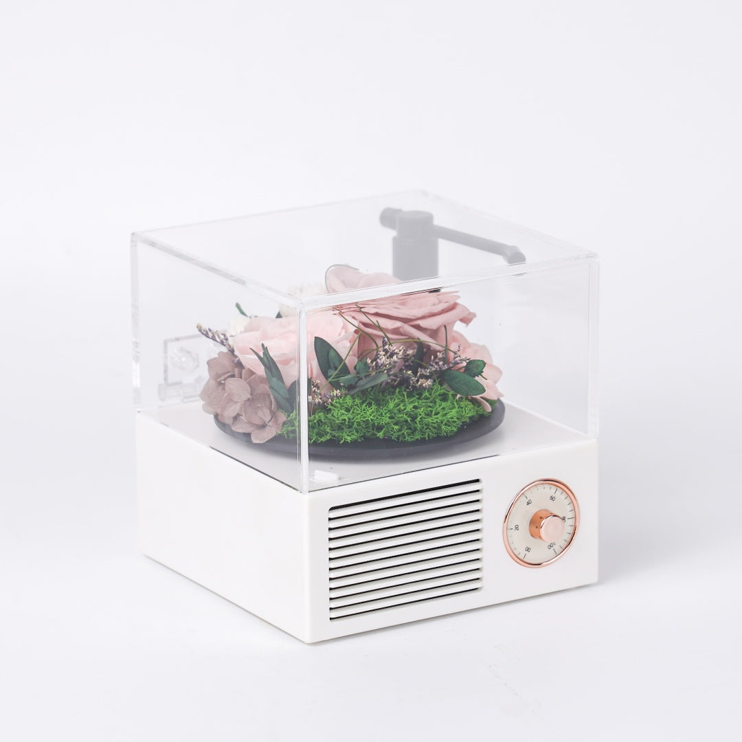 Garden Gramophone
