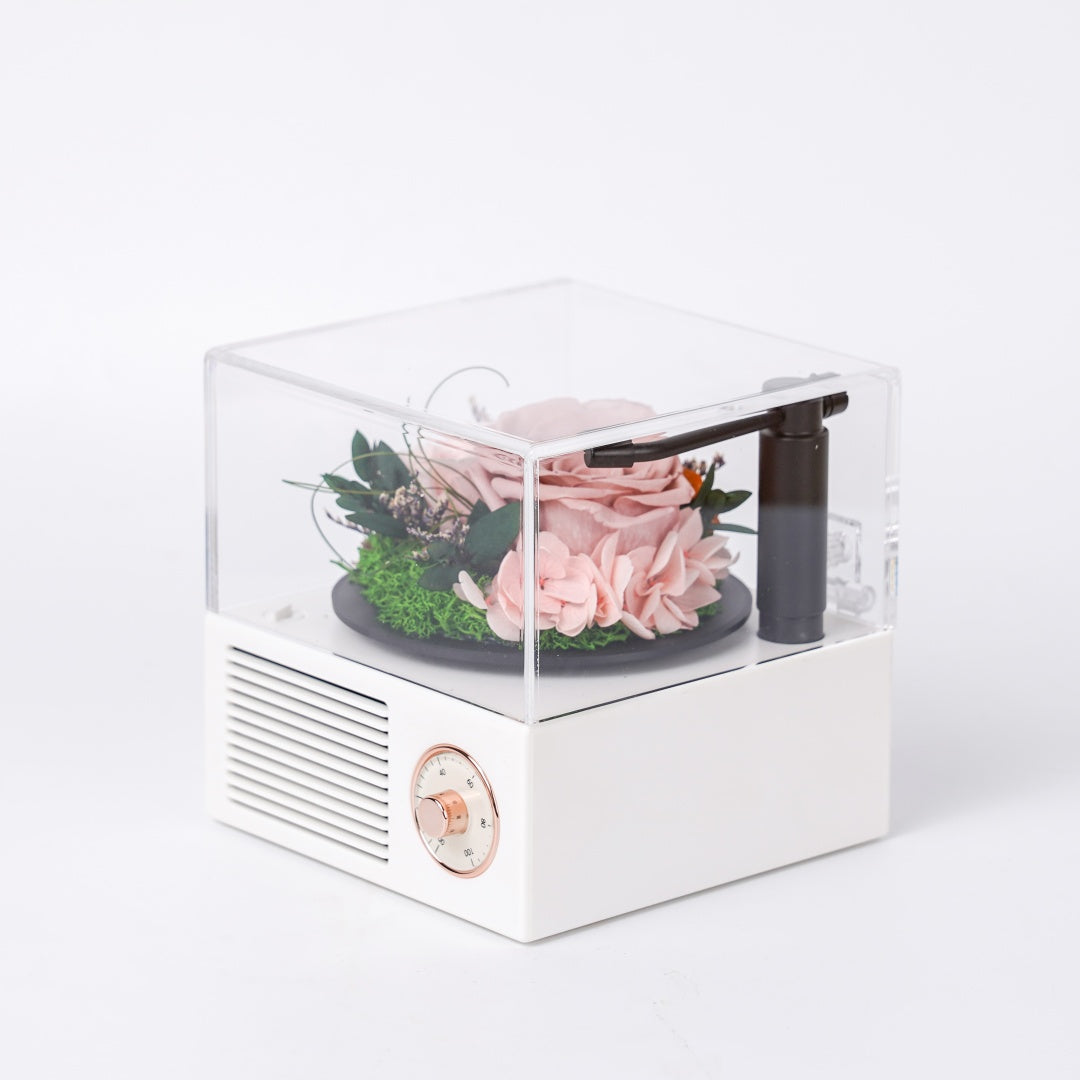 Garden Gramophone