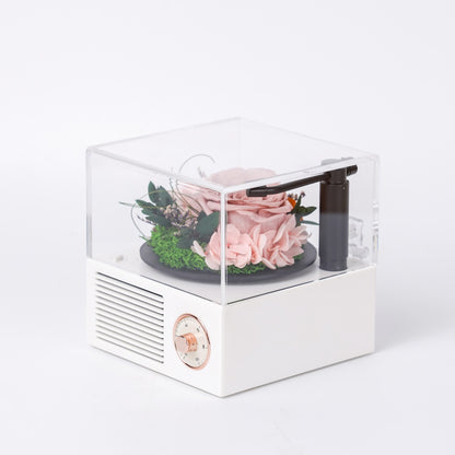 Garden Gramophone