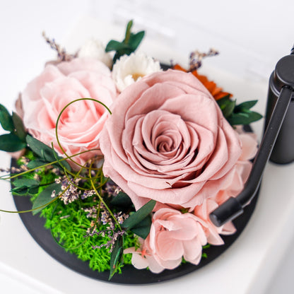Garden Gramophone