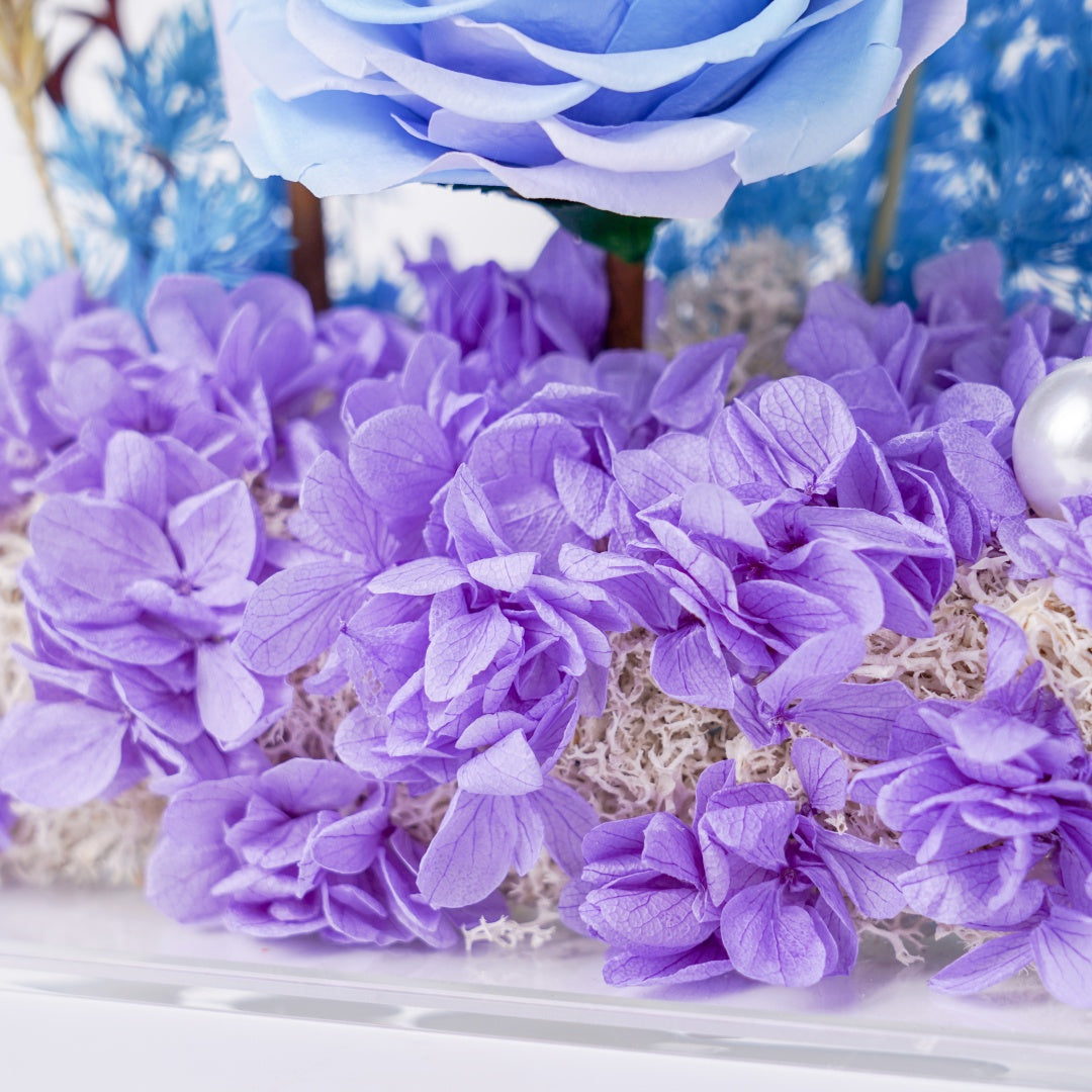 Orchid Mist Isle