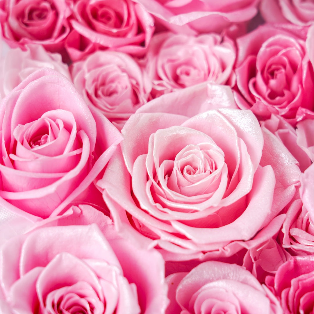 Mirrored Rose Heart Island