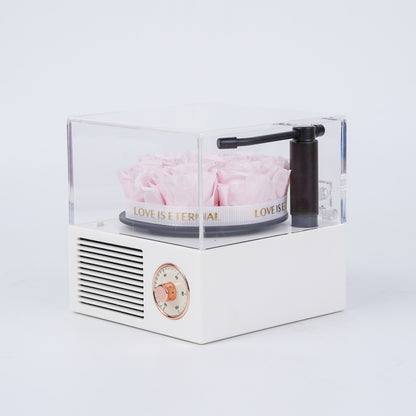 Mini Rose Gramophone
