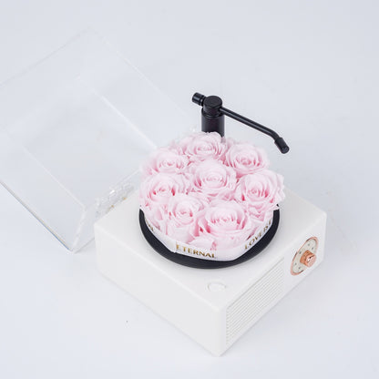 Mini Rose Gramophone