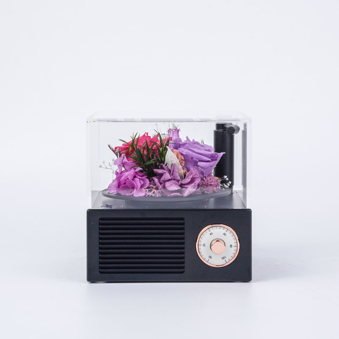 Garden Gramophone