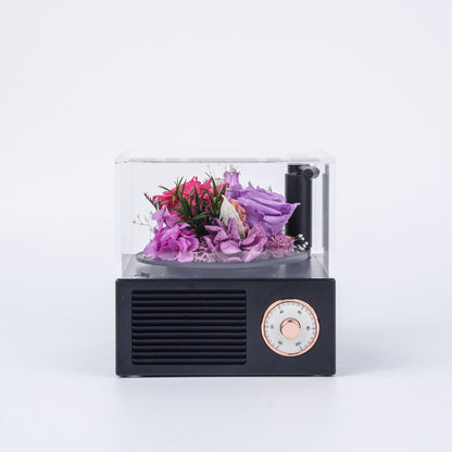 Garden Gramophone