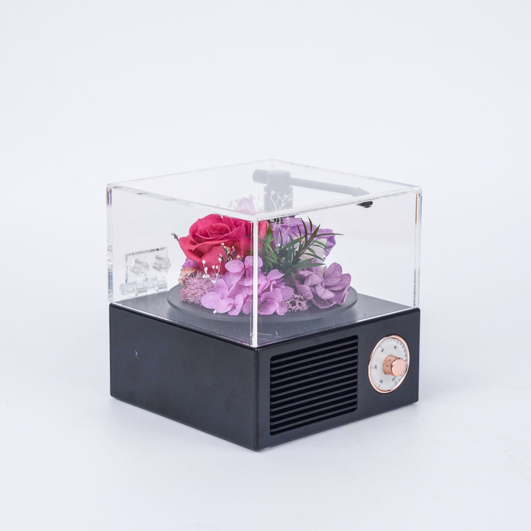 Garden Gramophone