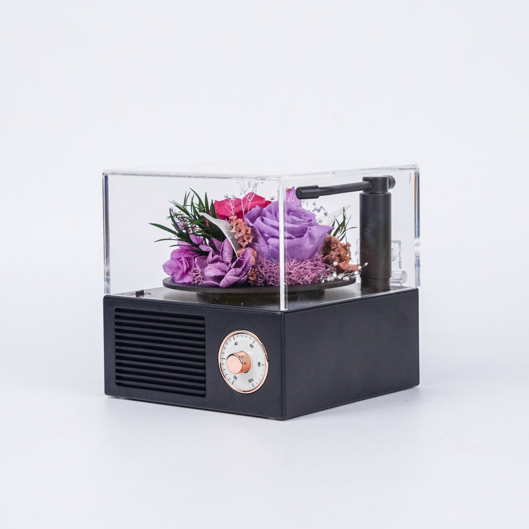 Garden Gramophone