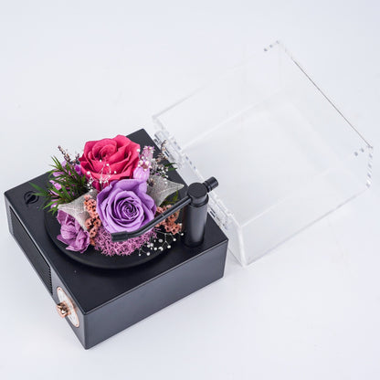 Garden Gramophone