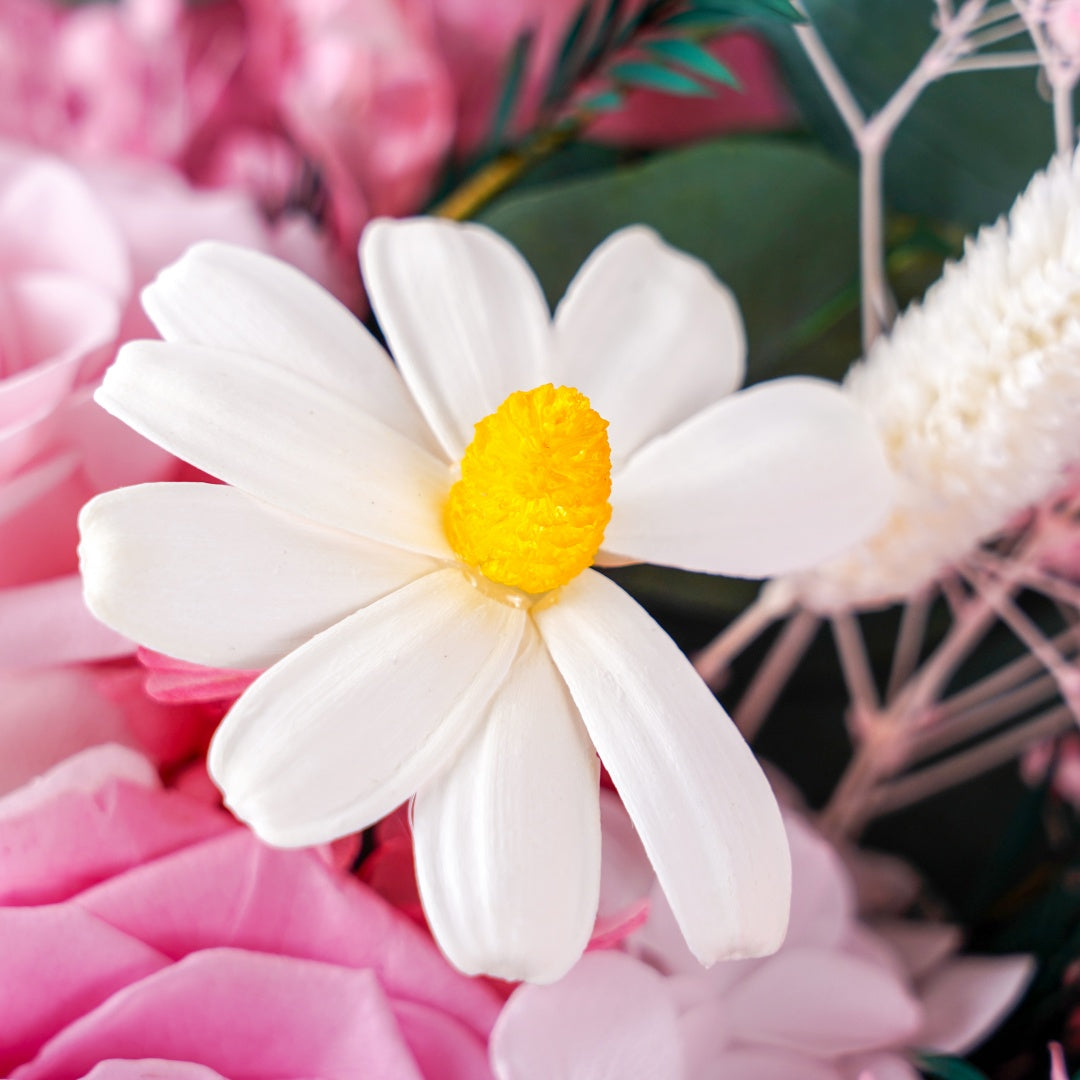 粉紅玫瑰花束 (Pale Petals) | 柔美漸層粉永生花束