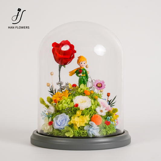 永生花 小王子星球