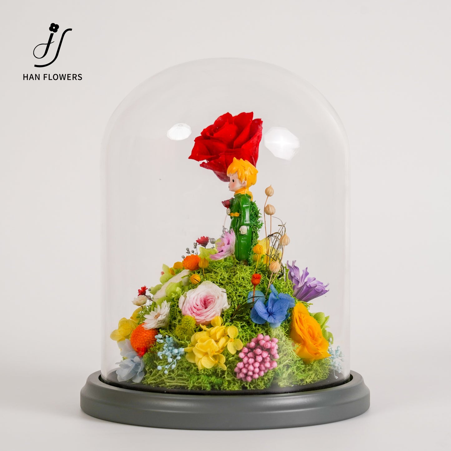 永生花 小王子星球