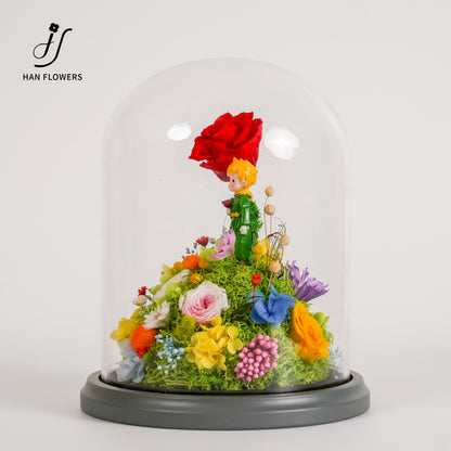永生花 小王子星球