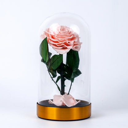 The Little Prince (bronze base)
