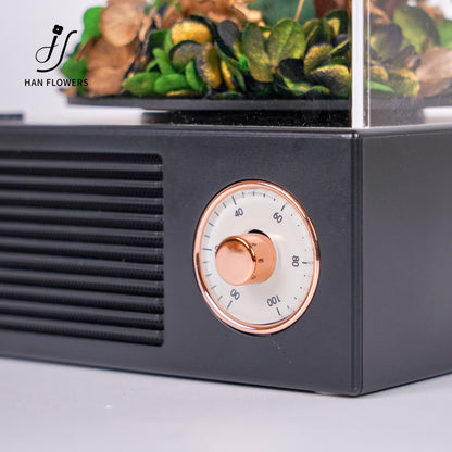 創意聖誕留聲機(綠)