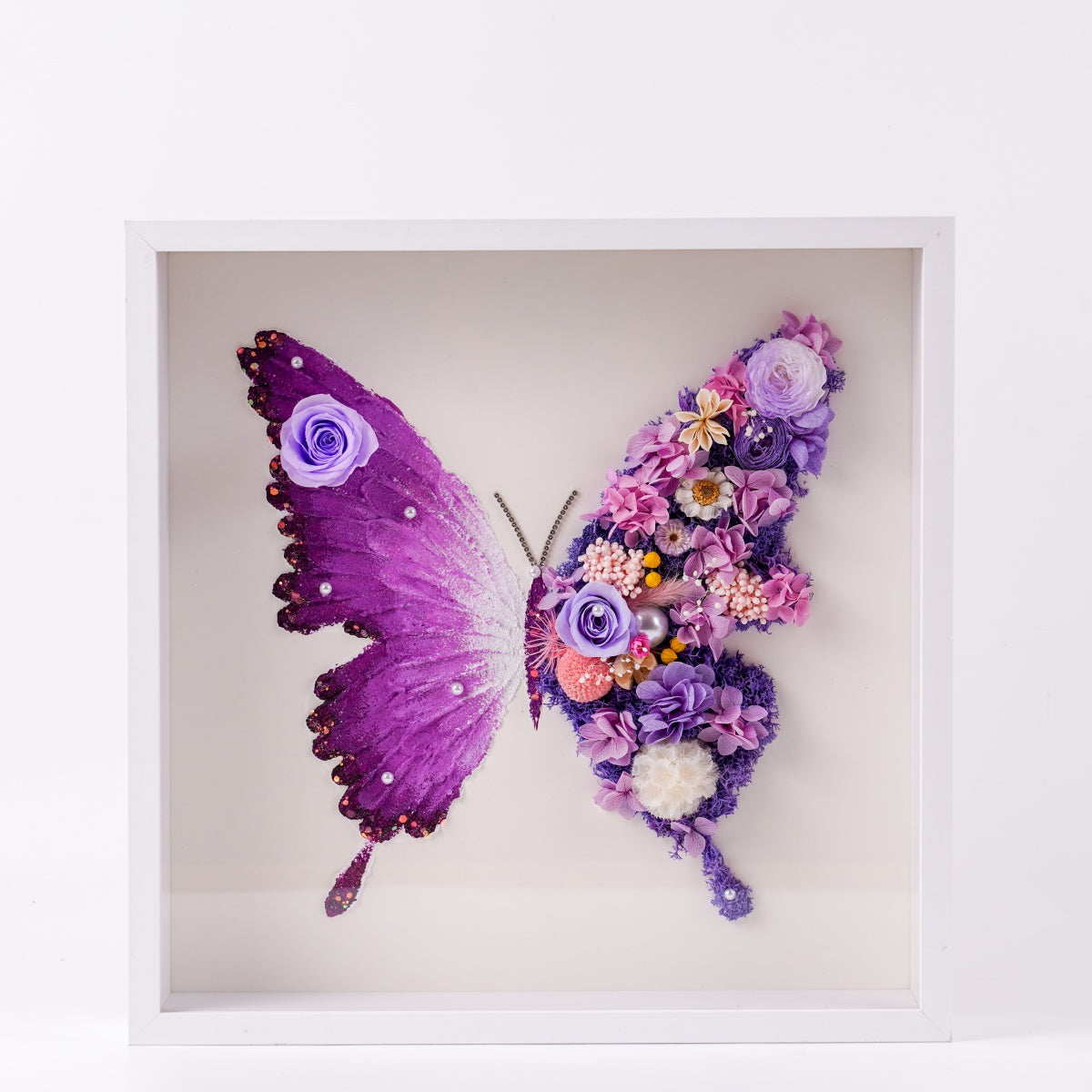 Preserved Flower Butterfly Frame