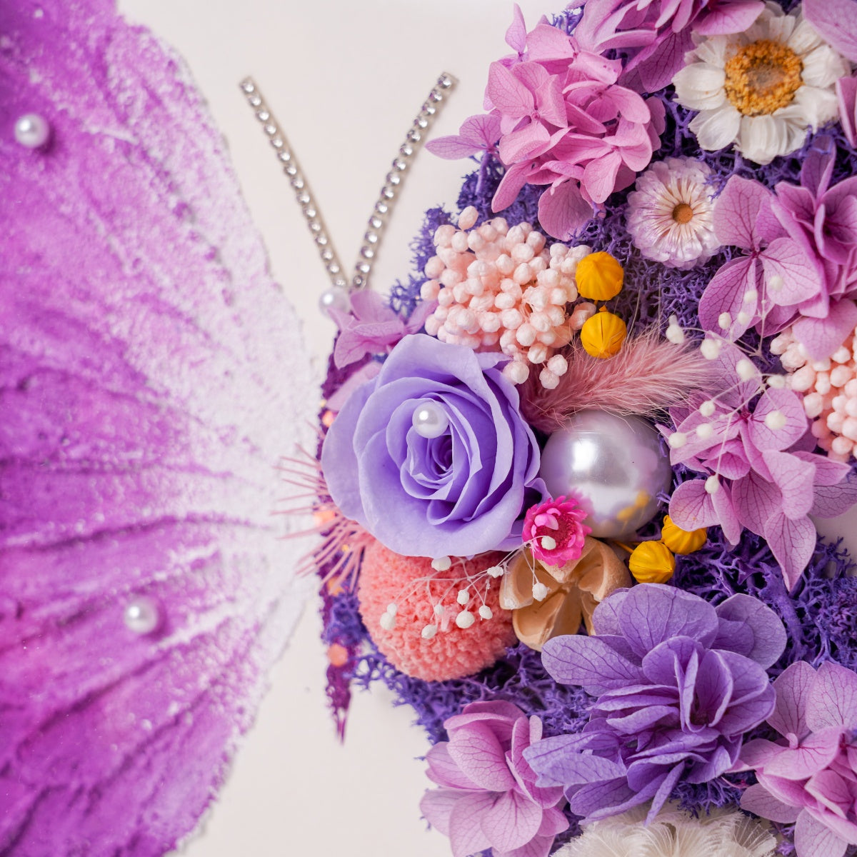 Preserved Flower Butterfly Frame