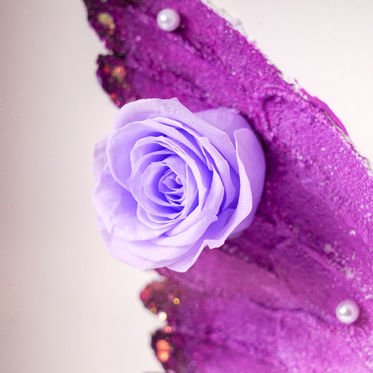 Preserved Flower Butterfly Frame