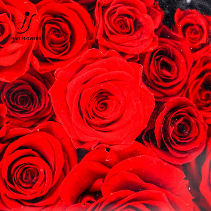 Rose Heart Isle | Classic Heart-Shaped Preserved Flower Gift Box with Handle