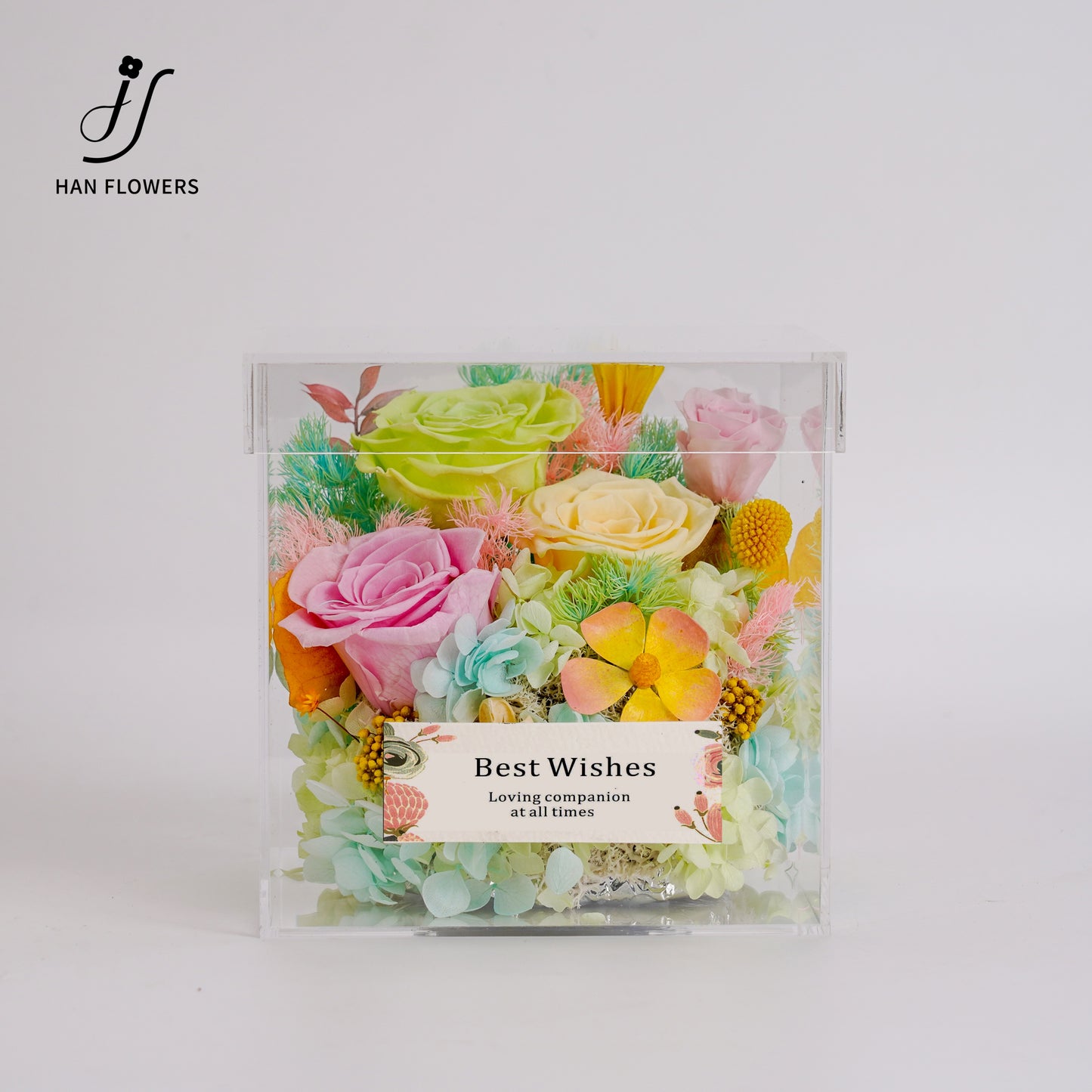 永生花 抱走一盒春天