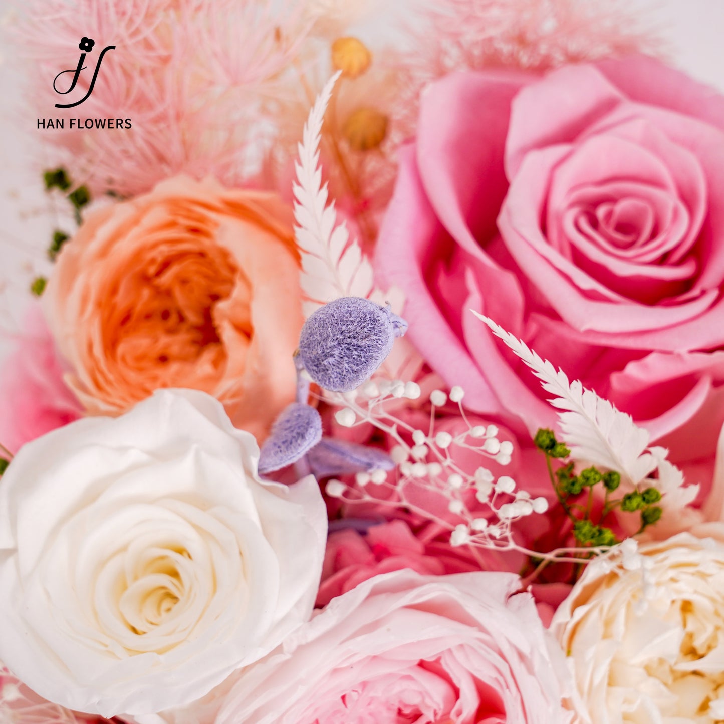 永生花 抱走一盒春天