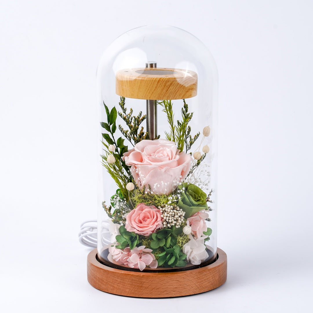 (Missing Phase) The Flora Sanctuary | Warm-Glow Everlasting Rose Glass Dome Night Light