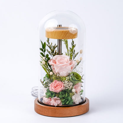 (Missing Phase) The Flora Sanctuary | Warm-Glow Everlasting Rose Glass Dome Night Light