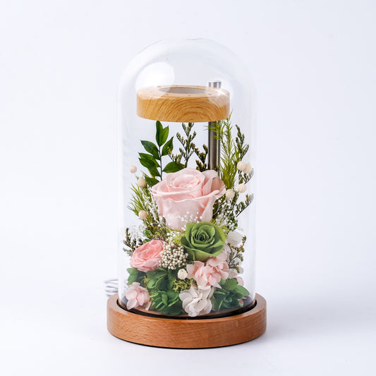 木棲花鏡 (The Flora Sanctuary) | 暖光永生玫瑰玻璃罩夜燈
