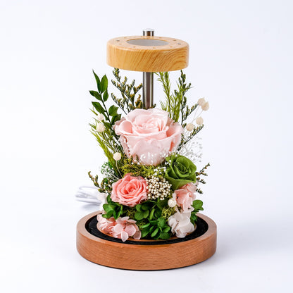 (Missing Phase) The Flora Sanctuary | Warm-Glow Everlasting Rose Glass Dome Night Light